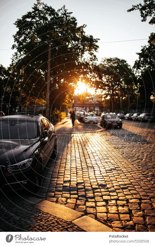 #A0# Gold of the city Town Lure of the big city Exterior shot City Sunrise Morning Dawn awakening Paving stone paved road golden golden hour golden october