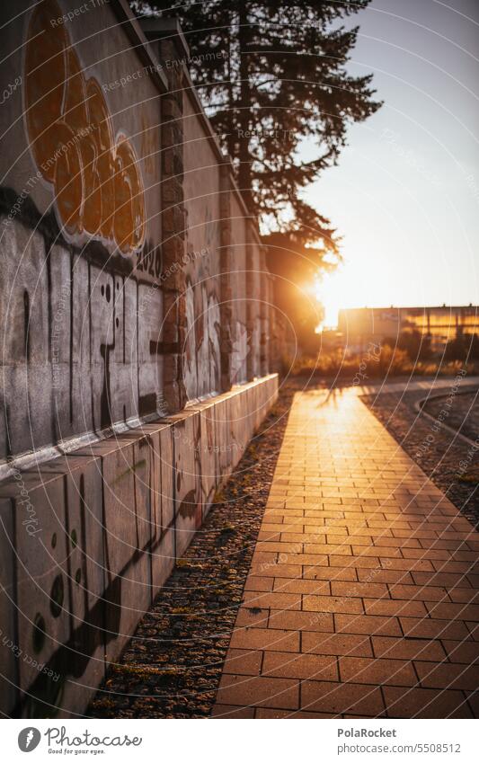 #A0# Dresden Neustadt dresden-neustadt graffiti rampart Wall (building) Wall (barrier) Sunrise golden golden hour Town Youth culture defaced pretty urban