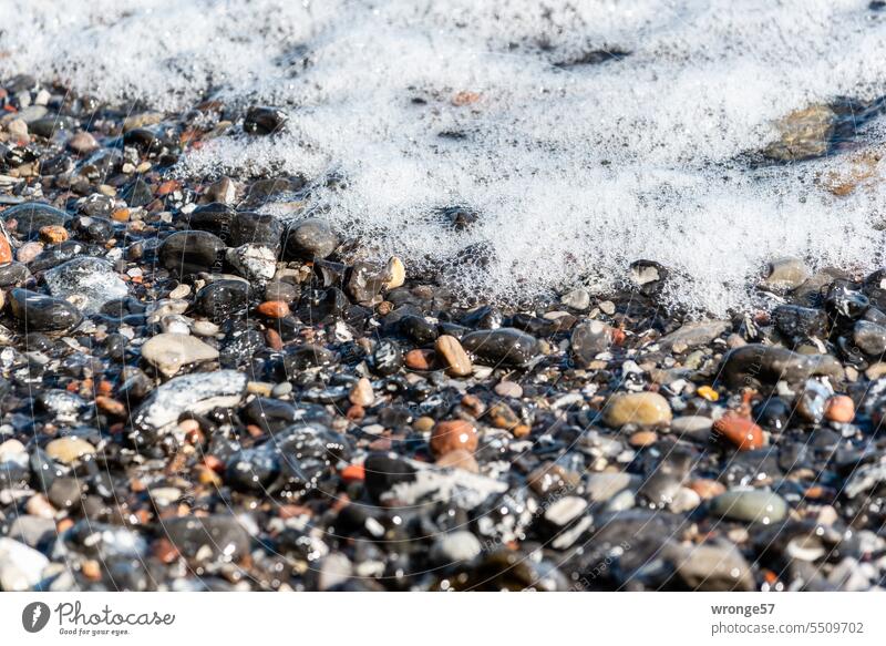 foam bath Foam bath Shore line Beach stones flints Surf Wavy line Air bubbles in the water Wet coast Water Ocean Shiny stones Nature Exterior shot Day daylight