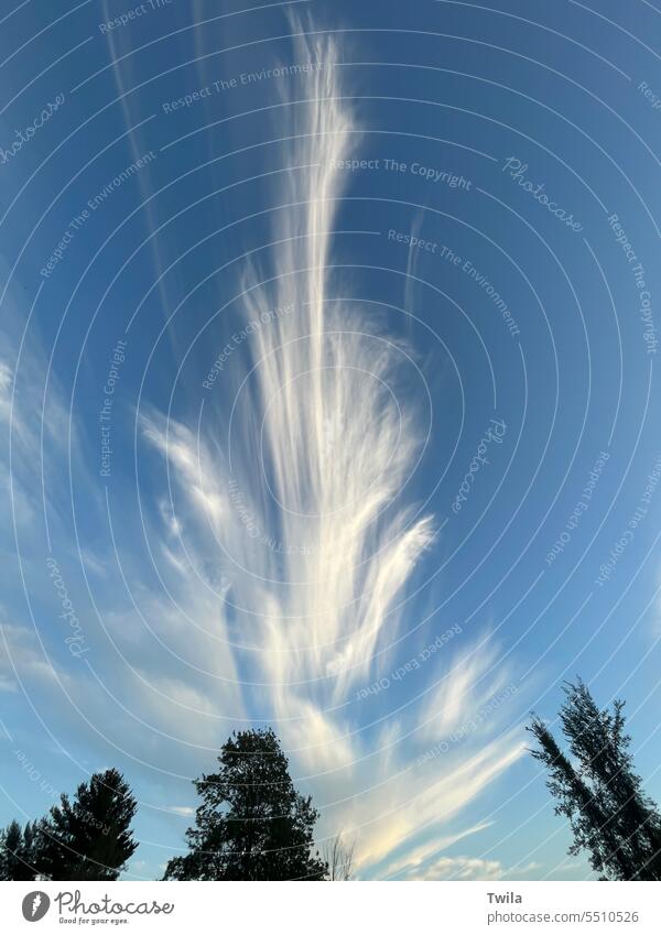 Unique cloud formation in beautiful blue sky Sky Clouds Exterior shot Nature Blue Beautiful weather Day Summer Whispy