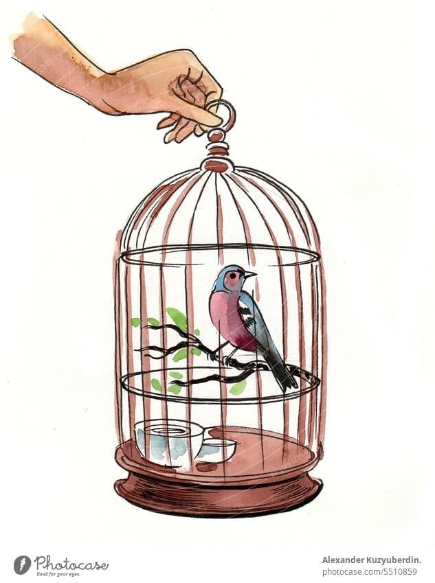 Singing bird on a tree branch. Ink black and - Stock Illustration  [69766285] - PIXTA