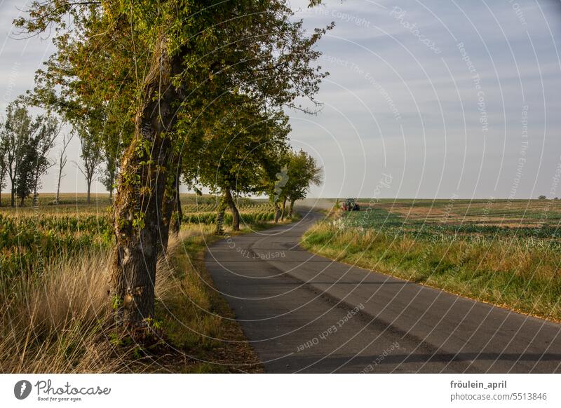 Final | Winding Road | Country road with trees and a tractor harvesting in the distance Street Traffic infrastructure Lanes & trails Asphalt Traffic lane