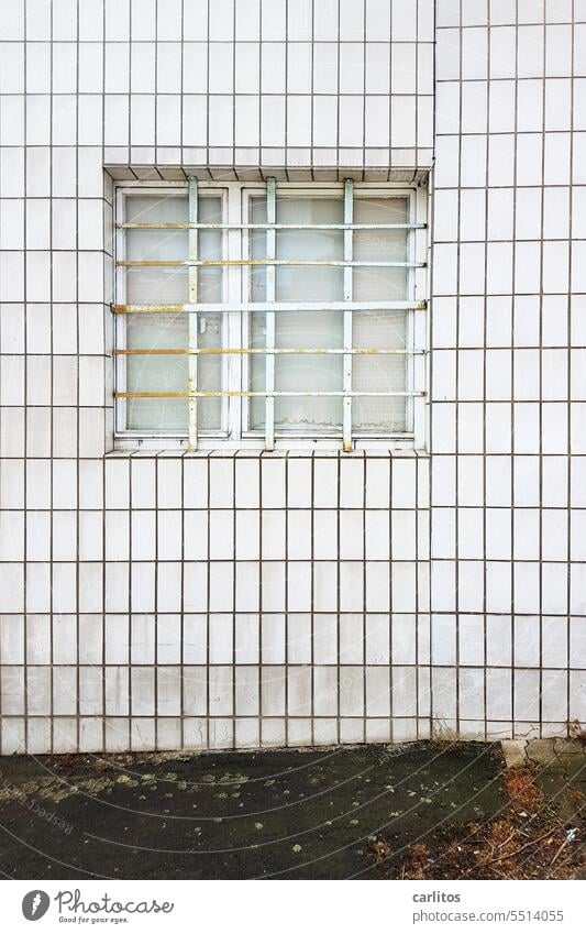 Break-in or break-out proof ?  | Old gas station tiles Window Grating Tile Wall (building) Pattern Structures and shapes Abstract Mosaic Square Decoration
