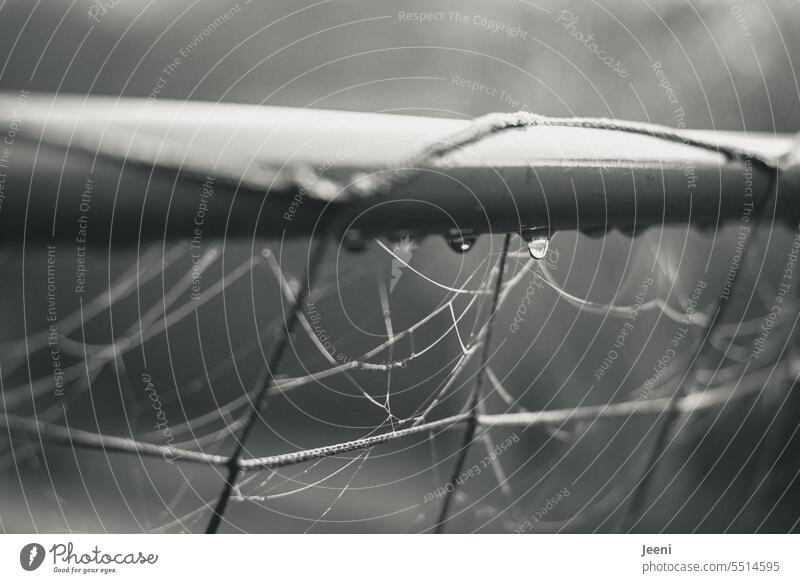 Soccer goal in the fall Fog Nature Soccer Goal Haze Autumn Drops of water autumn morning Dawn Moody Leisure and hobbies Light Foot ball Autumnal cobwebs Wet