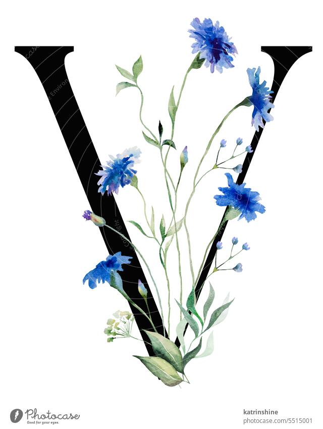 Black letter V with watercolor blue cornflowers and wildflowers bouquet, Summer wedding element Birthday Botanical Character Drawing Element Garden Hand drawn