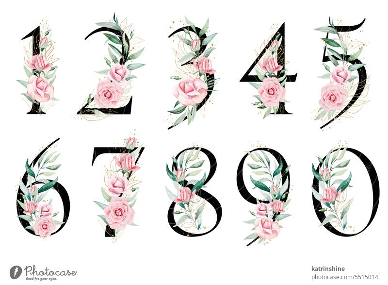 Black numbers with pink watercolor flowers and green and golden leaves, isolated illustration. Birthday Botanical Decoration Drawing Element Foliage Garden