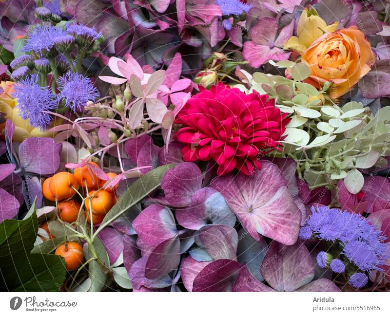 Late Summer Flowers A Royalty Free Stock Photo From, 51% OFF