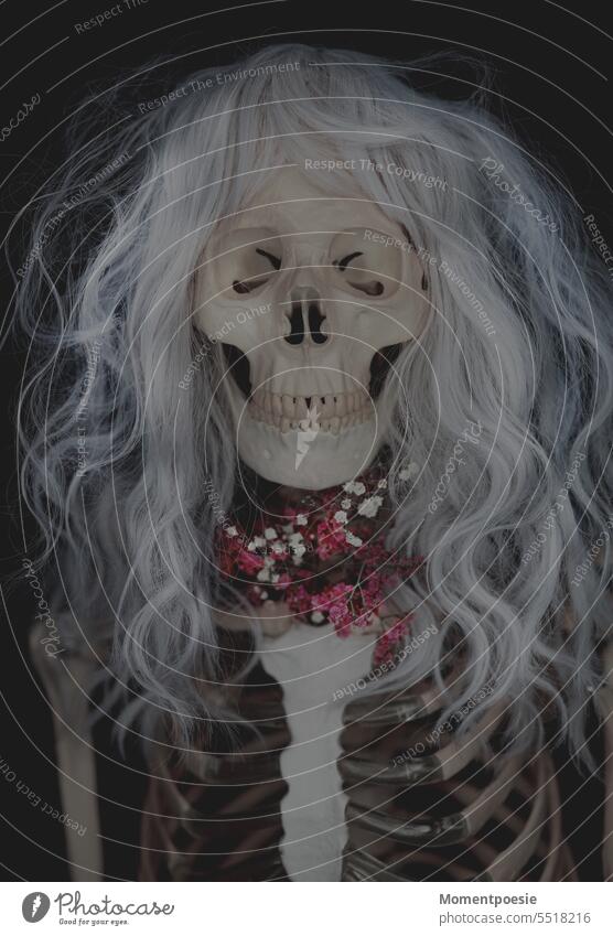 skeleton Skeleton Woman Wig White-haired dead Sacrifice Death flowers pass away Death's head Thorax Hallowe'en Head Bone Horror portrait Public Holiday Fear