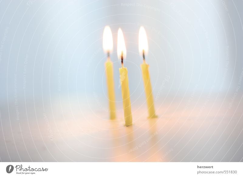 Happy Birthday Feasts & Celebrations Candle Emotions Joy Happiness Colour photo Interior shot