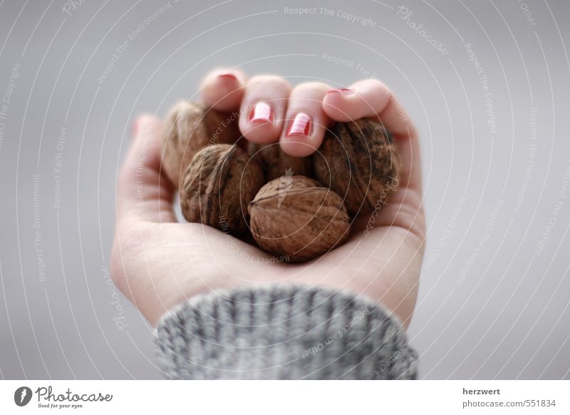 Nuts for Cinderella Food Eating Hand Walnut To hold on Colour photo