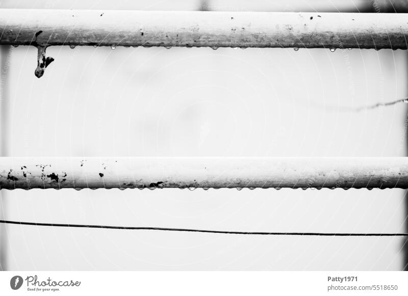 Raindrops hang on old carpet beater pole with hook and clothesline raindrops Checkmark Weathered Old Exterior shot Living or residing Hang Gloomy sad