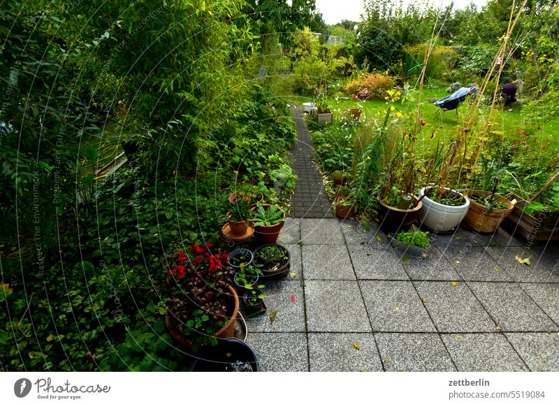 Terrace in the garden Tree Blossom Twilight Relaxation awakening holidays Garden Hedge allotment Garden allotments bud composite Deserted neighbourhood Nature