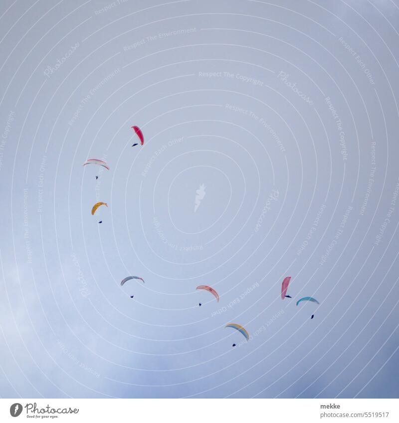 Formation flight behind cloud whisk paraglider Paragliding Collection group Paraglider Freedom Sports Sky Extreme sports grouping Many Leeches Flying Transport