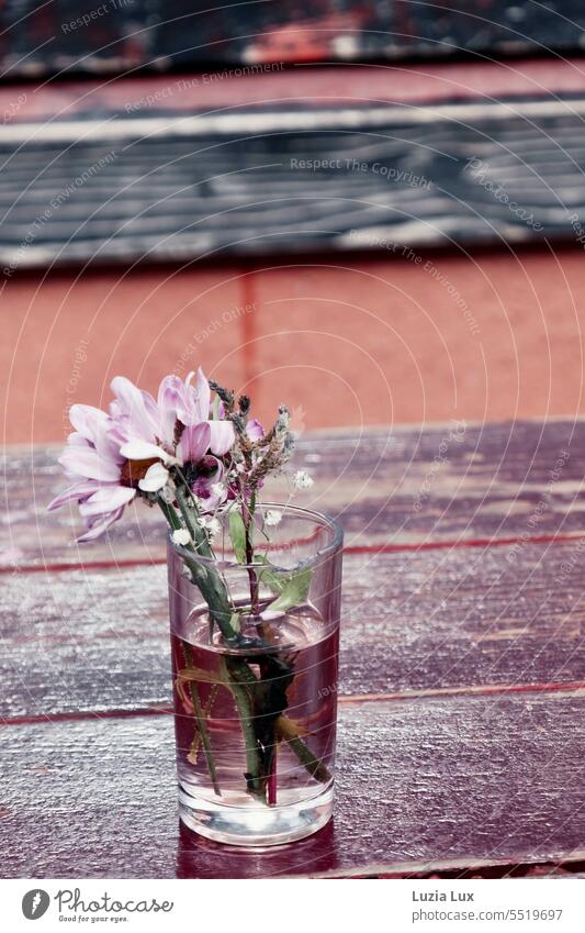 Little flower in the vase on the table of a street cafe Pink Blossom Flower Dahlia Color photo Wood flora Plant Fragile fragility Vase pretty Decoration flowers