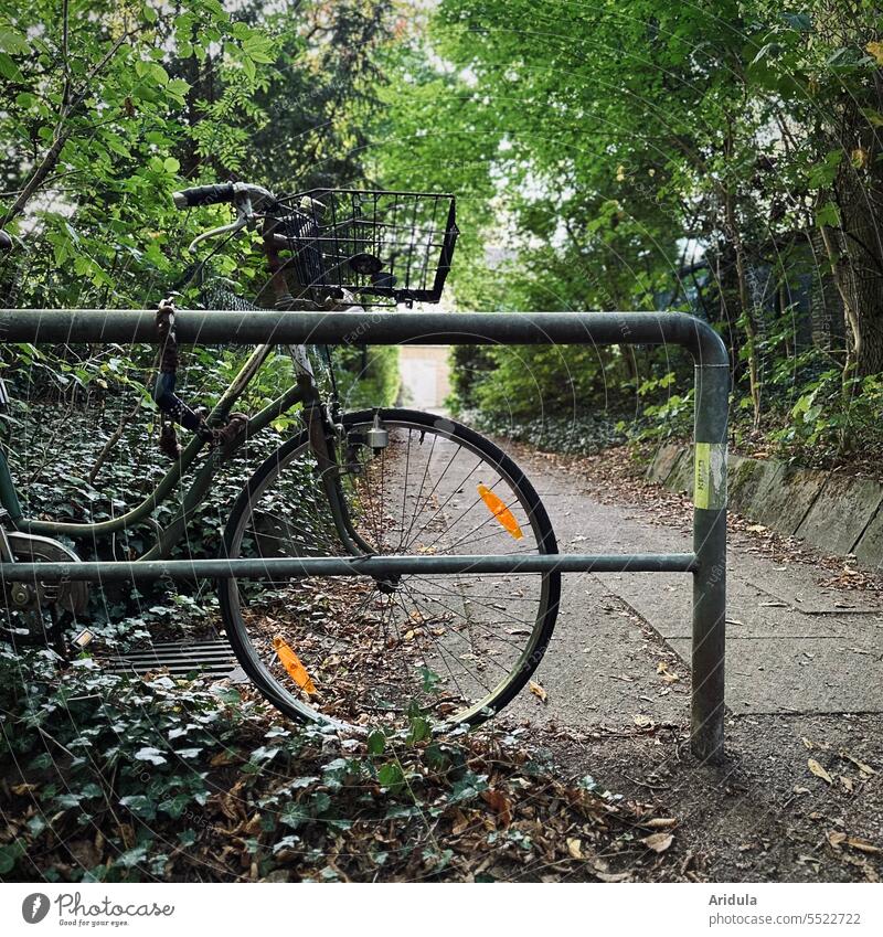 Bicycle connected to a railing in the green Old Means of transport Transport Parking Cycling bicycle lock bicycle basket Handlebars Bicycle handlebars Wheel