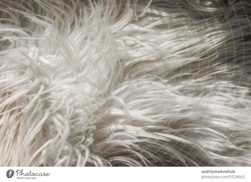 White Fur Texture Background Stock Photo, Picture and Royalty Free