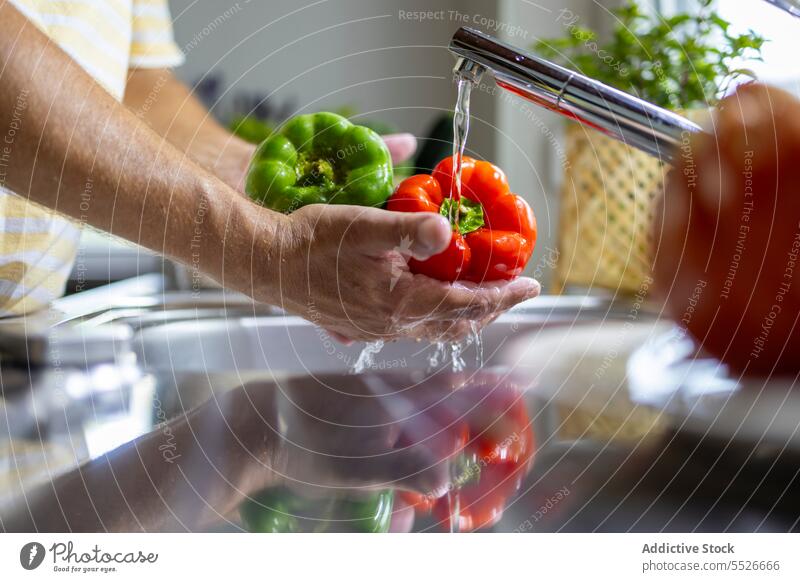 Man washing peppers under tap in sink man faucet ingredient water prepare cook male kitchen process vitamin housework fresh stream clean waterdrop ripe culinary
