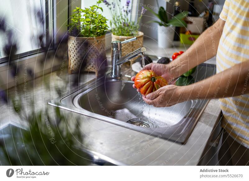 Man washing tomato under tap in sink man faucet ingredient water prepare cook male kitchen process vitamin housework fresh stream clean waterdrop ripe culinary