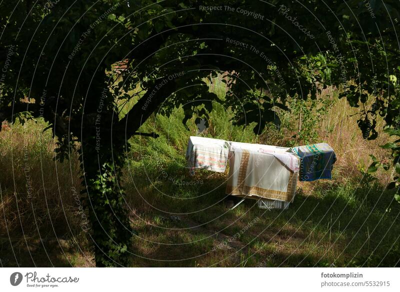 Wash day in the country backyard. - a Royalty Free Stock Photo from  Photocase