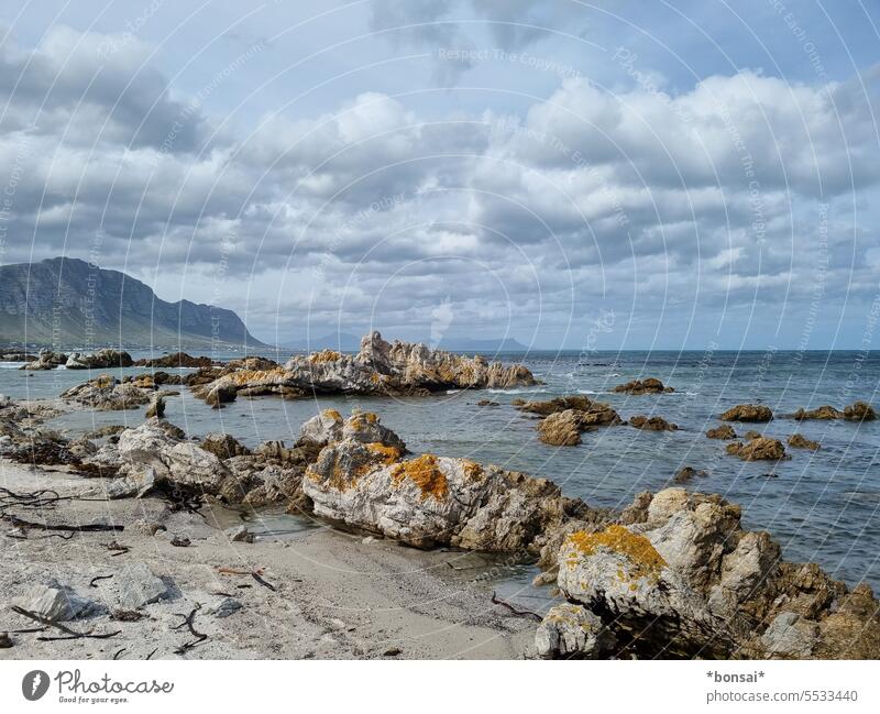 Betty's Bay Beach coast Ocean Atlantic Ocean Rock Water Horizon Clouds Sky Garden Route Western Cape South Africa Nature Landscape Exterior shot