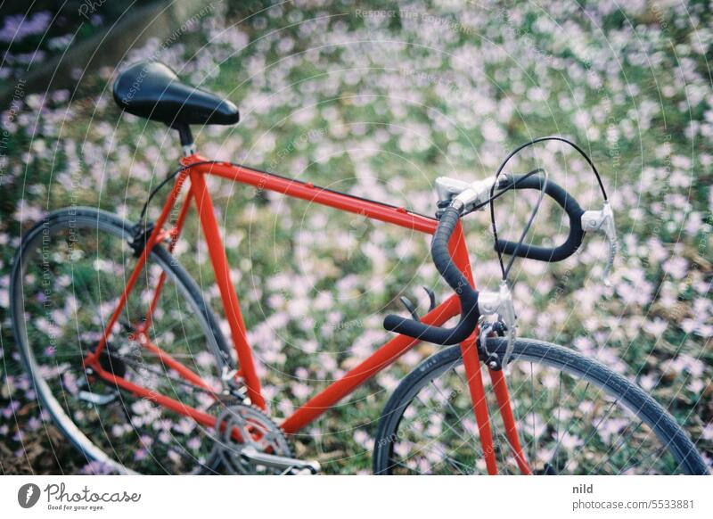 Red vintage road bike - a Royalty Free Stock Photo from Photocase