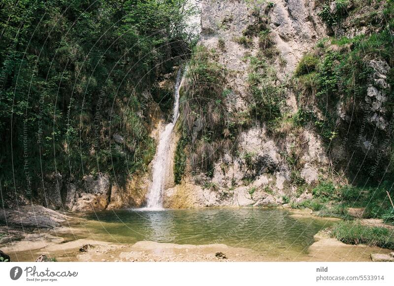 Travel recommendation - Around the Tagliamento in Friuli Forest Nature Colour photo Exterior shot Landscape Mountain Hiking Vacation & Travel Trip