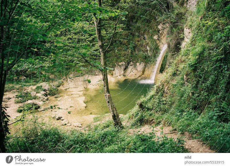 Travel recommendation - Around the Tagliamento in Friuli Forest Nature Colour photo Exterior shot Landscape Mountain Hiking Vacation & Travel Trip