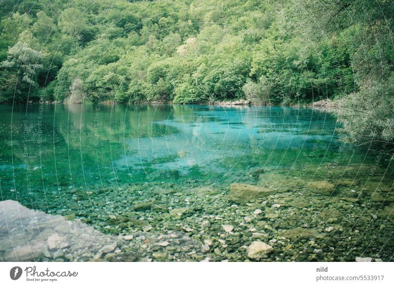 Travel recommendation - Around the Tagliamento in Friuli Forest Nature Colour photo Exterior shot Landscape Mountain Hiking Vacation & Travel Trip