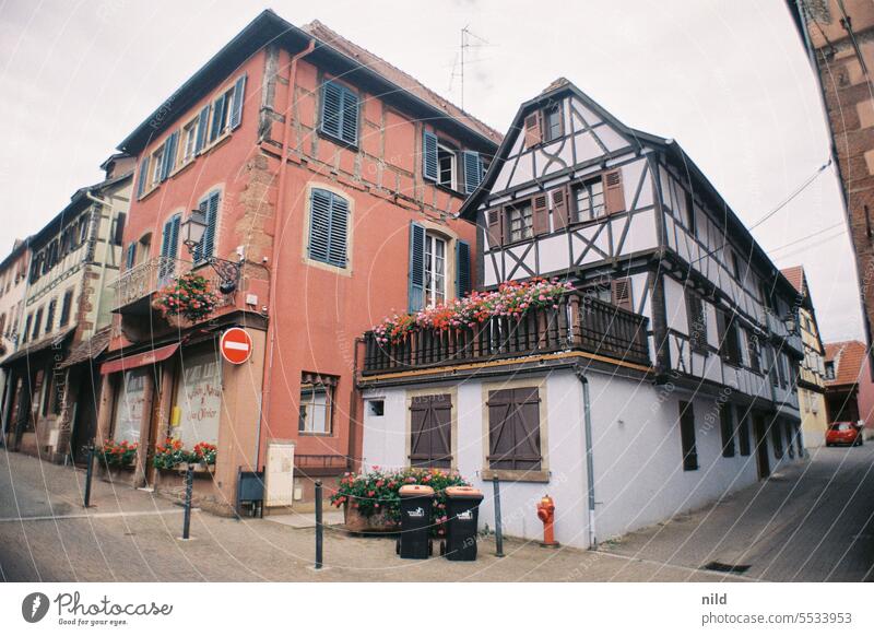 Alsace - Bouxwiller France Historic Calm Light Idyll Colour photo Exterior shot Moody Analogue photo Kodak Vacation & Travel Summer Old town medieval Alley