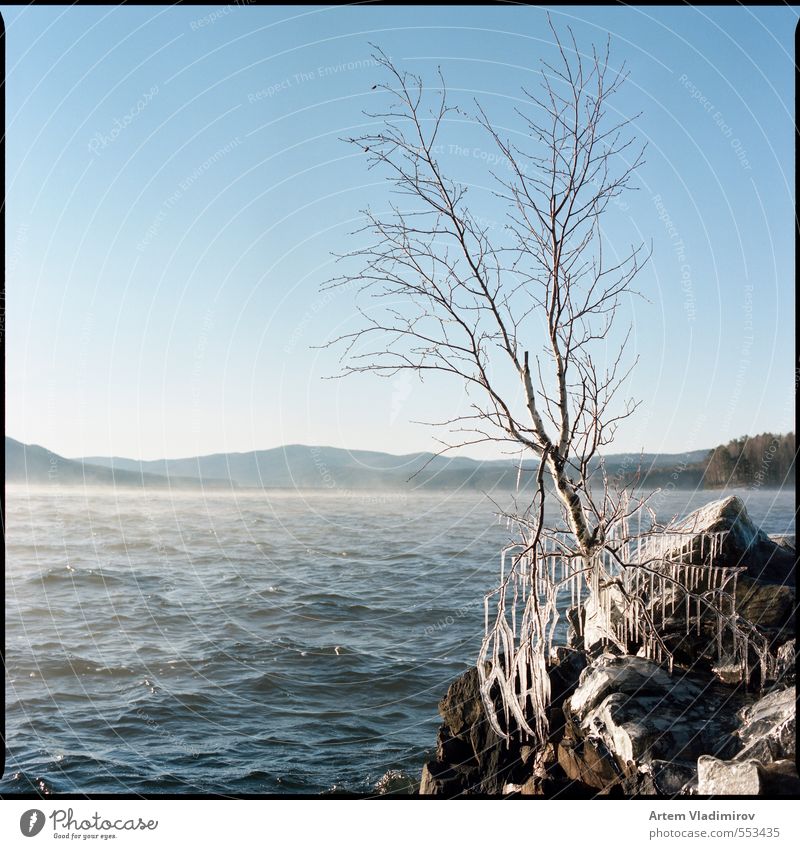 #storm2 Landscape Plant Air Water Sky Horizon Autumn Climate Wind Fog Ice Frost Tree Rock Stone Cold Blue Brown White Serene Colour 6x6 bronica sq-ai film