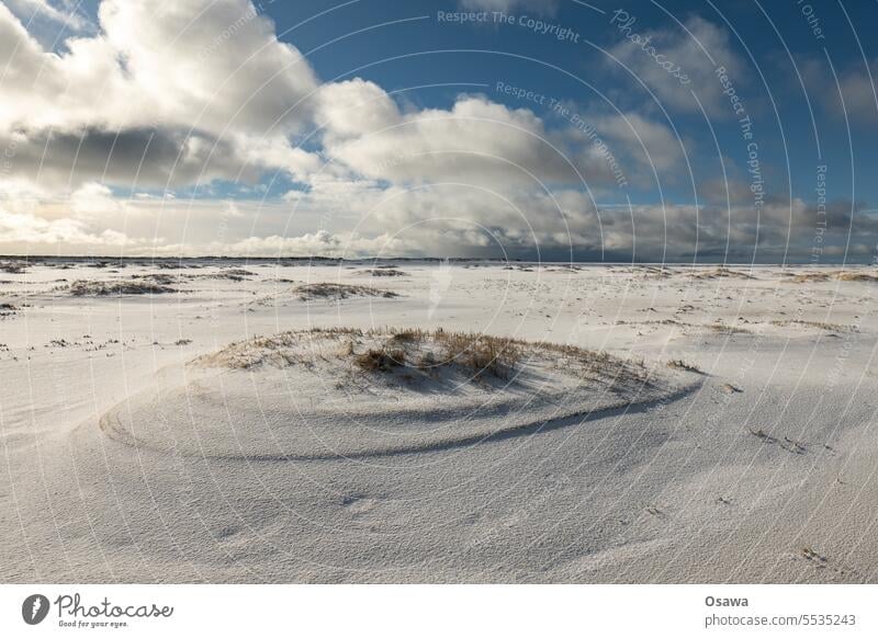 Snow on Kniepsand Beach dunes Winter Ocean Sky Amrum Landscape North Sea Marram grass coast Clouds Sand Island North Sea coast