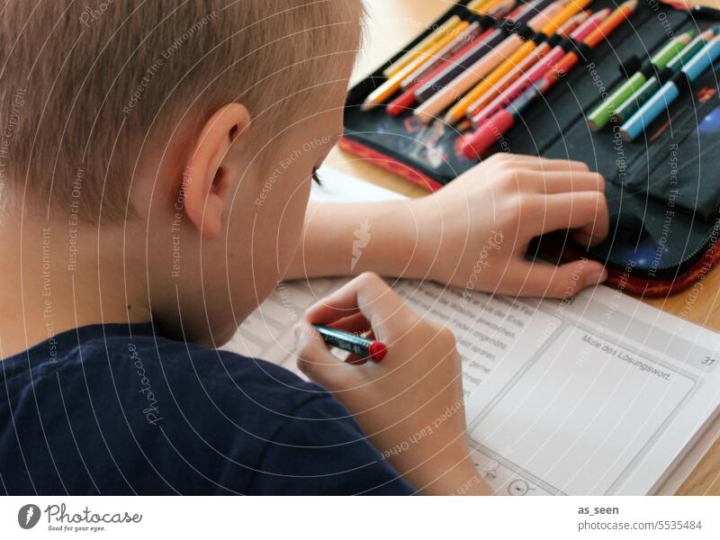 homework Homework Boy (child) pen from behind side view case Booklet pens Pencil case Education Study Infancy Write School Child Concentrate Homeschooling