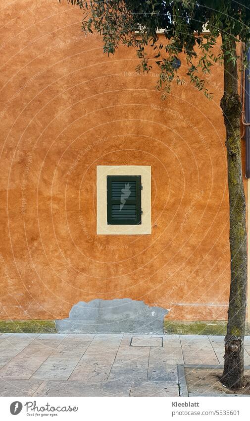 Terracotta colored building with small closed green shutter in foreground partial view of olive tree closed window Shutter falling plaster terracotta building