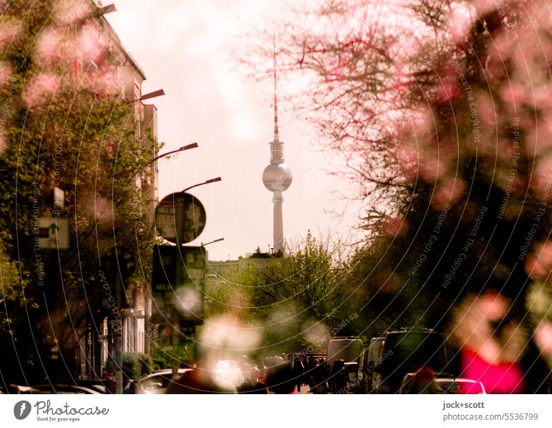 Parallel World | In the Intoxication of Cherry Blossoms Berlin TV Tower Cherry blossom Landmark Double exposure Prenzlauer Berg Reaction Silhouette bokeh