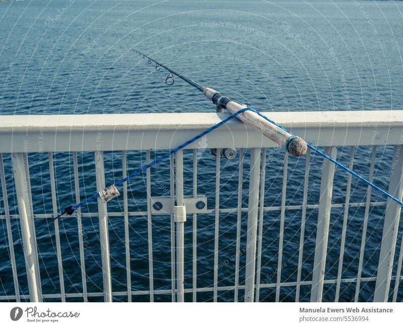 Nets for Pier and Bridge fishing