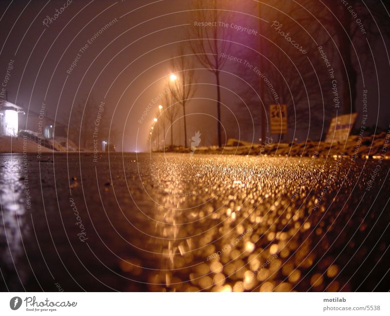 wetstreet Traffic lane Wet Night Loneliness Driving Transport Street