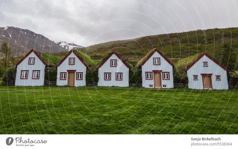 Dream home :)  Grass sod houses in North Iceland Turf grassy Grass roof Museum Museum courtyard House (Residential Structure) Hut Architecture cultural heritage