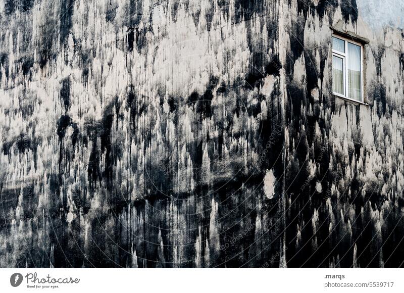 Facade with window Wall (building) Old Window covert Black Dirty Decline Exceptional Building Architecture Loneliness Longing