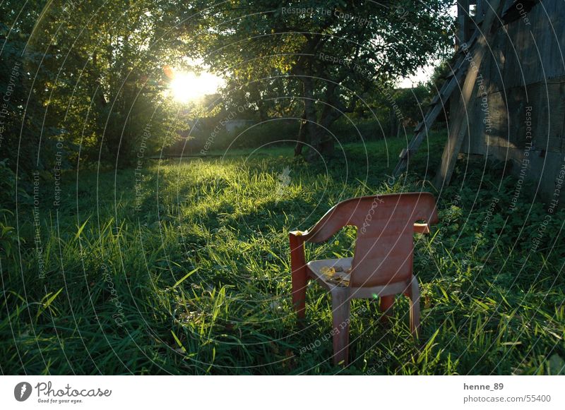 A place in the sun Sunrise Meadow Garden chair Plastic chair Light Tree Flare