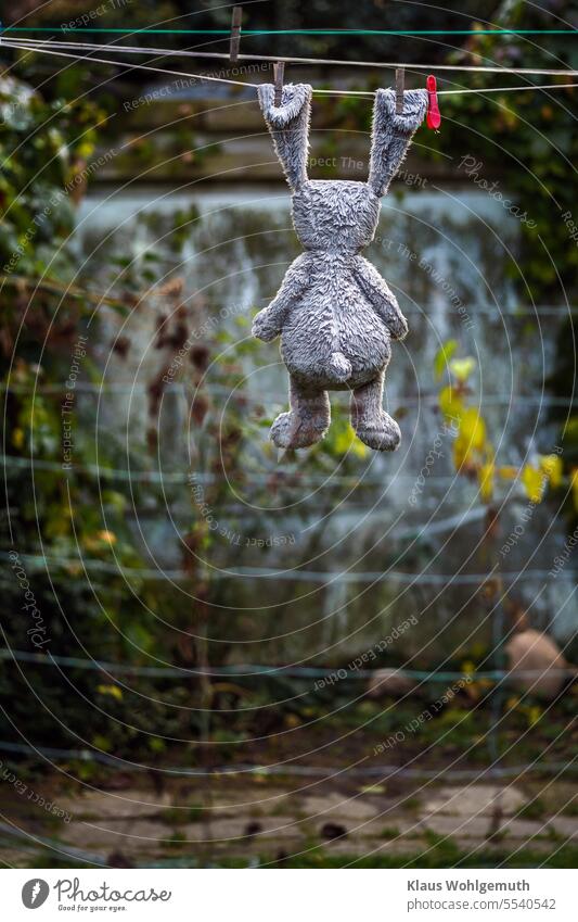 Just hang out once. This cuddly bunny shows how it can be done. On a clothesline it dangles in the autumn wind. cuddly toy rabbit Hare ears soft toy Clothes peg