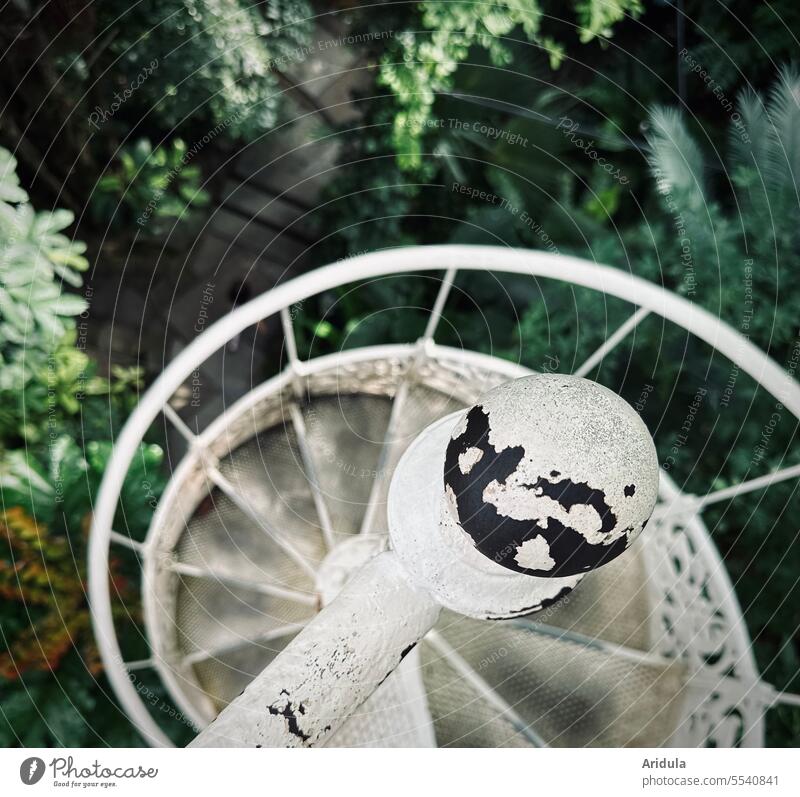 Narrow white spiral staircase in tropical house Stairs Tropical greenhouse plants Green plants Greenhouse Tall Bird's-eye view down Woven stairs Old Iron