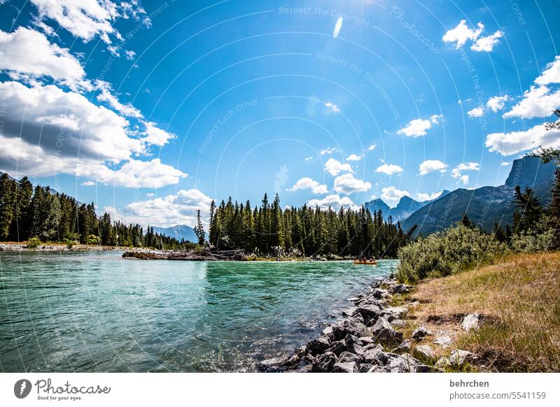 Everything is in flux Water Adventure trees Forest Far-off places River Vacation & Travel Wanderlust Banff National Park Alberta Rocky Mountains North America