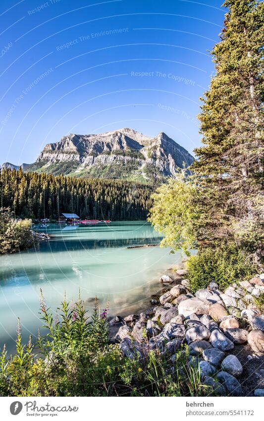 again and again canada Nature Canada Lake Alberta Lake Louise Rocky Mountains North America mountain lake Banff National Park Glacier