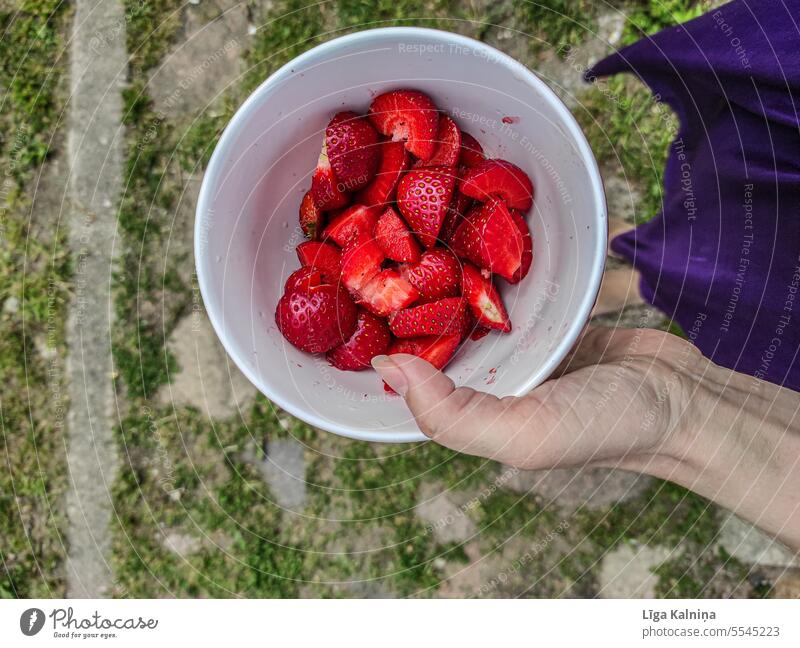 Hand holding a bowl of strawberries Strawberry Red Harvest strawberry field Fruit Summer Fruity Berries fruit Pick Fresh Bowl Arm Eating