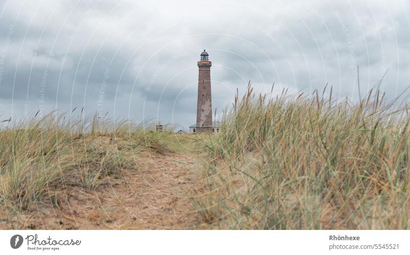 Lighthouse in the dunes coast Nature Landscape Colour photo Exterior shot Sky Deserted Tourism Landmark Tourist Attraction destination North Sea Clouds Day