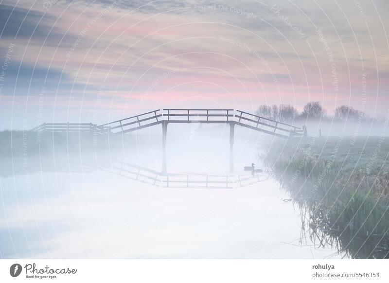 duck and wooden bridge in dense fog at dawn bird cycling water river canal sunrise early morning sky pink blue quiet calm tranquil view scenic scenery landscape