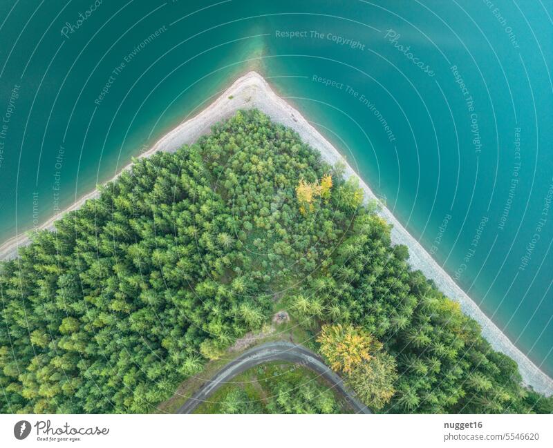 pointed, wooded headland on the lake Water Lake Promontory Peninsula Aerial photograph drone Forest Coniferous forest trees off hiking trail aerial photograph