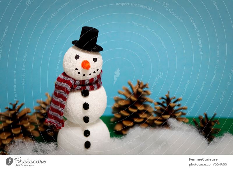 Mr Snow Nature Climate Beautiful weather Ice Frost Snowfall Leisure and hobbies Joy Handicraft Craft materials Fun with handicrafts Snowman Styrofoam