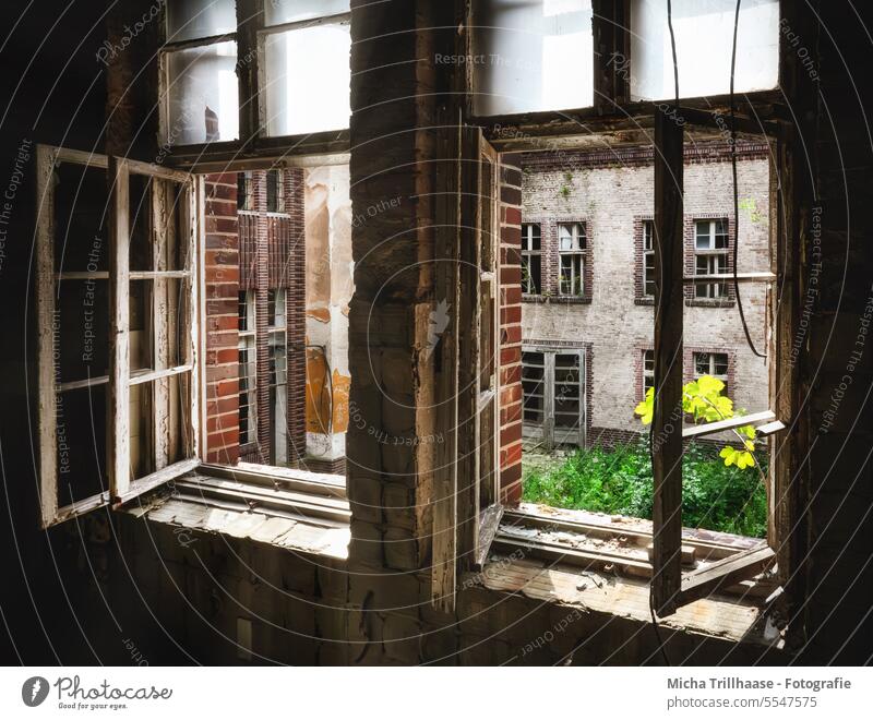 Open windows in a dilapidated house House (Residential Structure) Building lost places Window Window frame Old Decline Derelict Transience Change Past