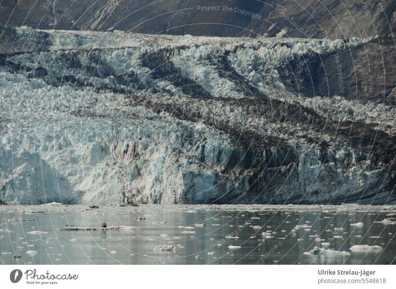 Alaska | Glacier Bay | Glacier edge with ice chunks flowing into the sea Glacier tongue Melt Glacial melt Glacier ice break-off edge Termination Ocean Water